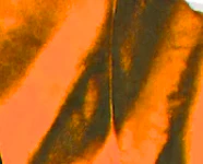 "SUSPENDER TIE DYE" T-SHIRT - Image 4